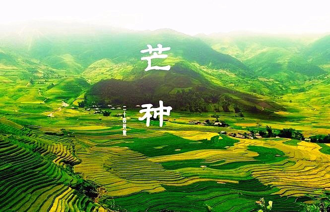 1528278104434469.png 圖片1.png