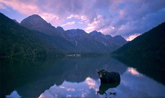 1588830263782521.jpg 未標(biāo)題-1.jpg